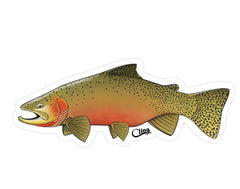 Westslope Cutthroat Ørret decal | Klistremerke 12cm | Cling