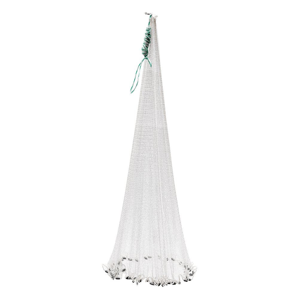 Kastenett | DAM - kreps