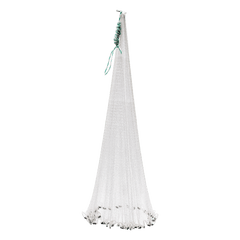 Kastenett | DAM - kreps