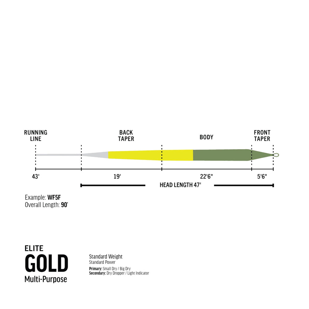 Elite Gold Fluesnøre | RIO