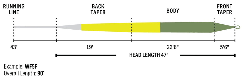 Elite Gold Fluesnøre | RIO
