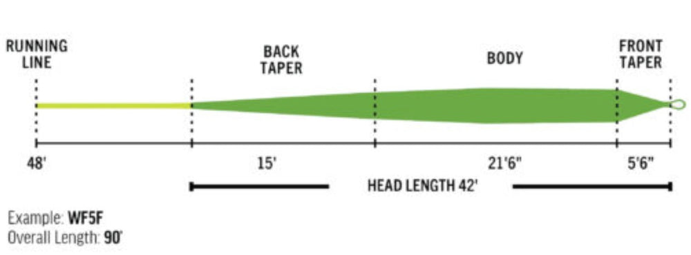 Premier Gold XP Fly Line | RIO