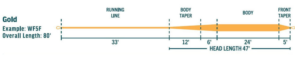 Avid Gold Fluesnøre | RIO