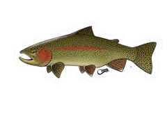 Regnbueørret Klistremerke 12cm - sticker | Cling