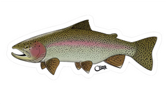 Regnbueørret klistremerke