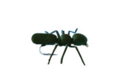 Vania | True Ant Black