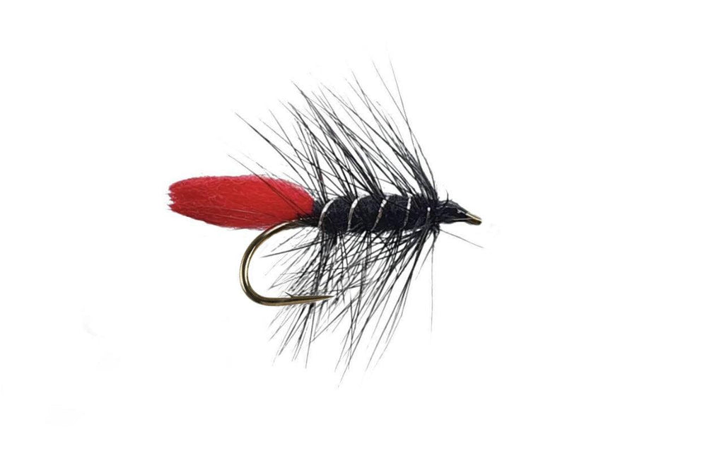 Black Zulu | Enkel krok (SH) - Flue.no - Fiskefluer