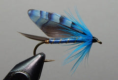 Blue Jay Matuka - Flue.no - Fiskefluer