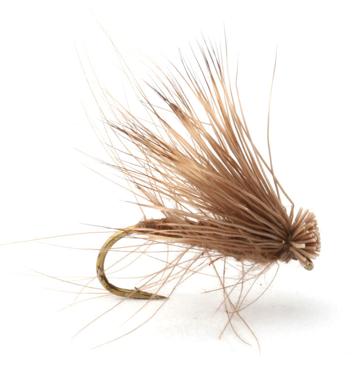 CDC Elk Caddis Brown - Flue.no - Fiskefluer