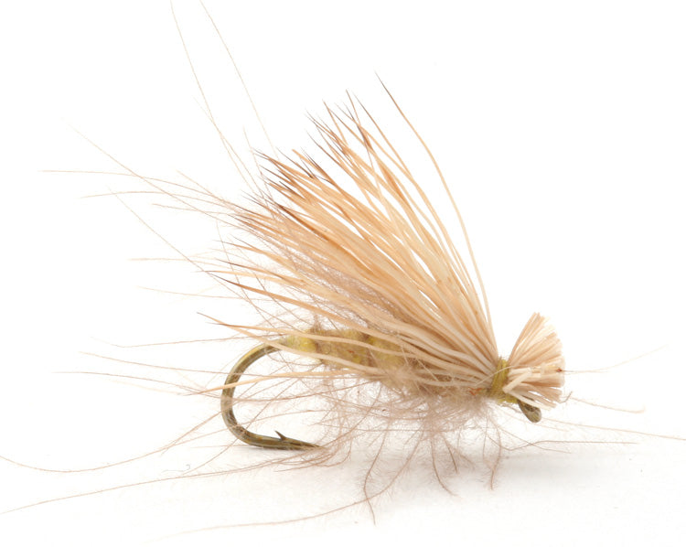 CDC Elk Caddis Olive - Flue.no - Fiskefluer