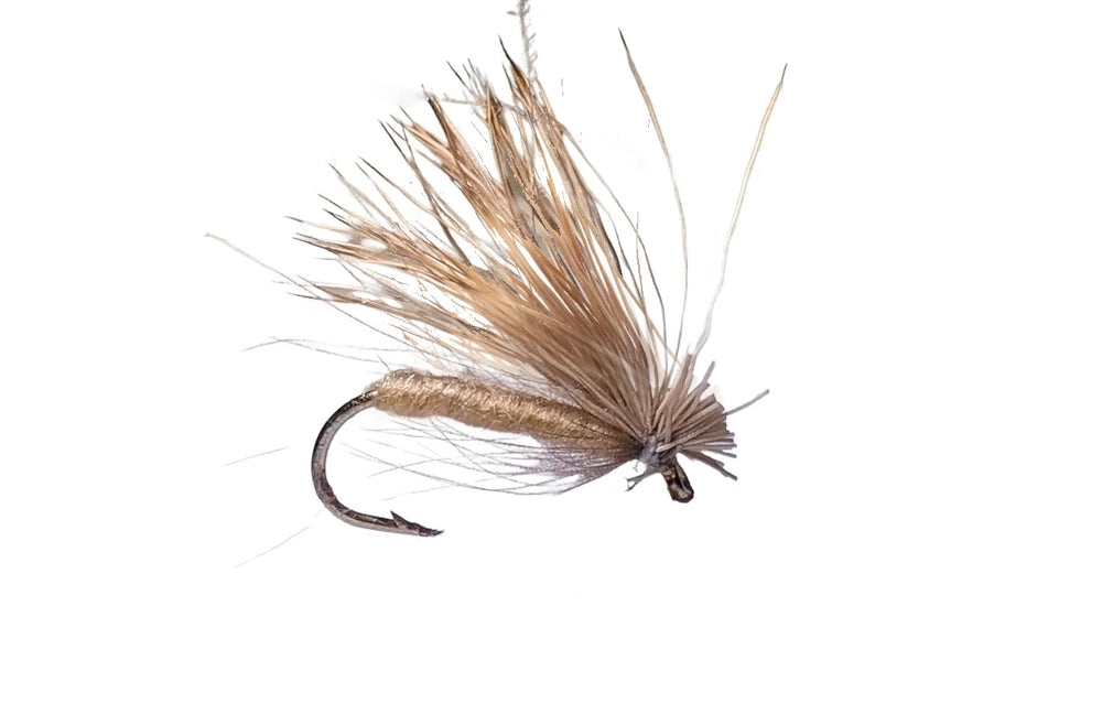 CDC Elk Hair Caddis - Flue.no - Fiskefluer