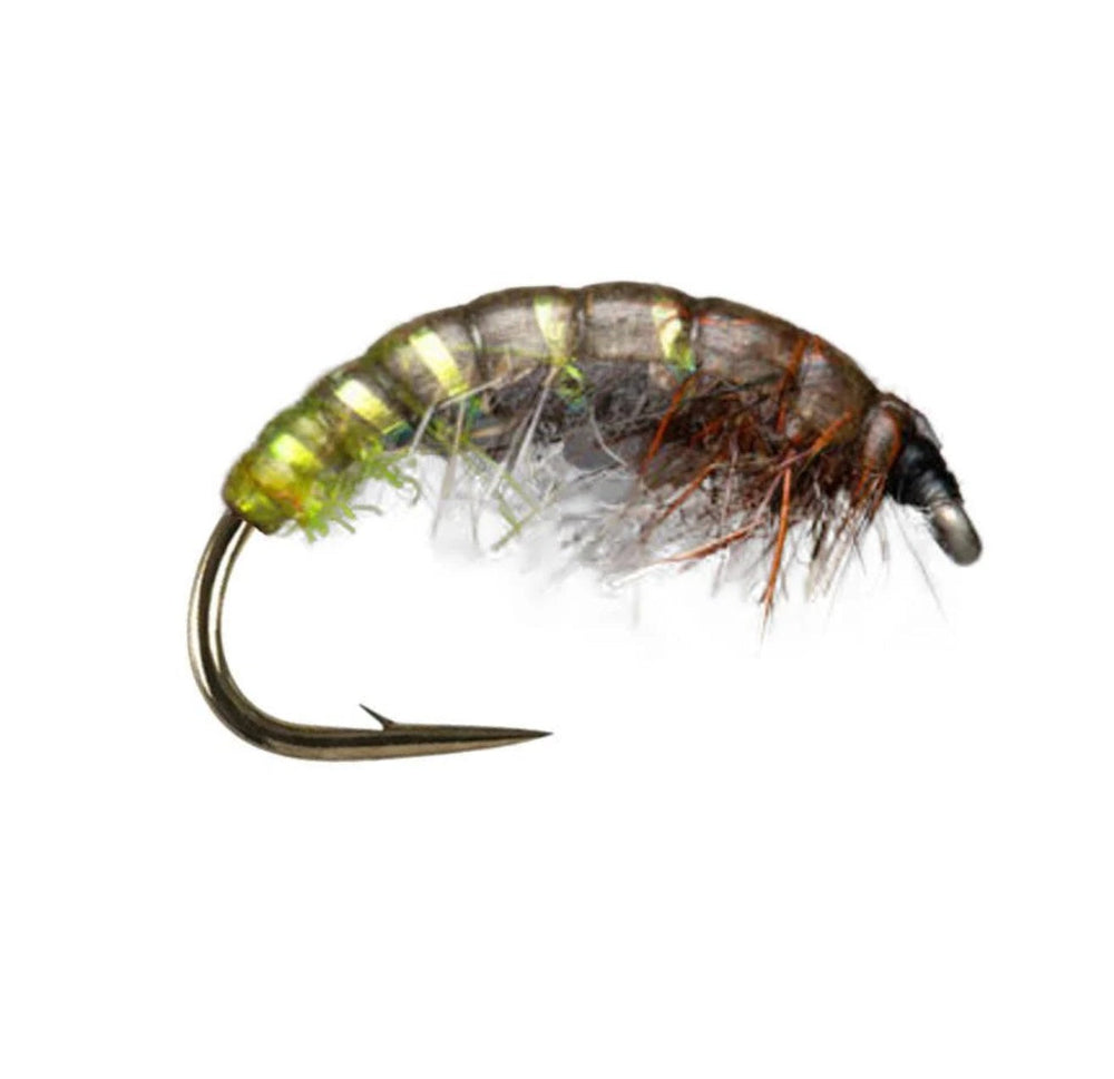 Czech Brown/Olive - Flue.no - Fiskefluer