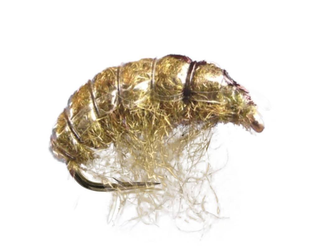 Czech Olive - Flue.no - Fiskefluer