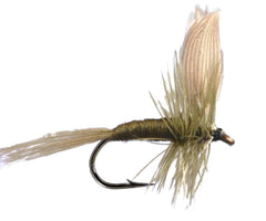 Lake Olive - Flue.no - Fiskefluer