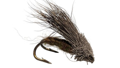Streaking Caddis DH