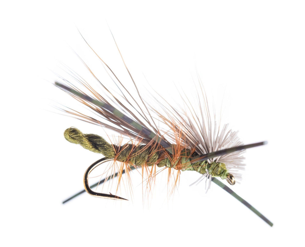 SKOPPER larveflue Olive - Flue.no - Fiskefluer