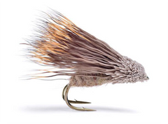 Streaking Caddis DH