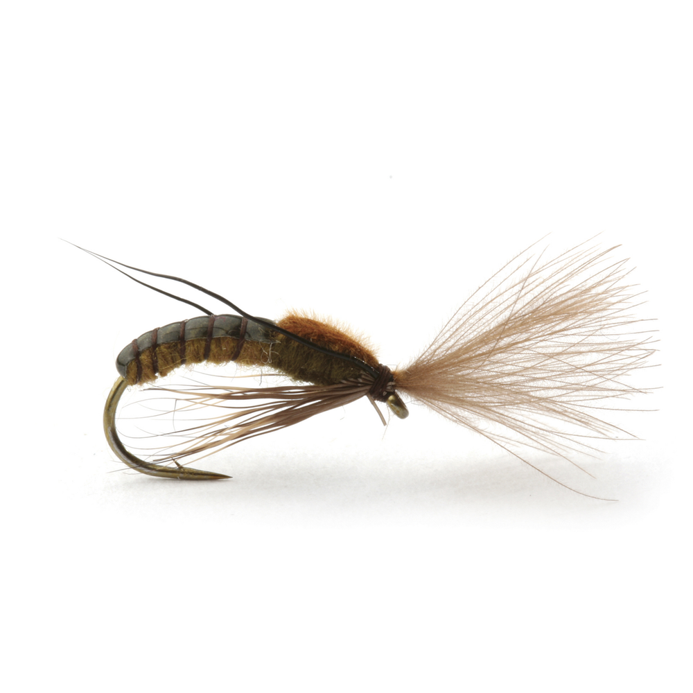 Super Emerging Caddis Brown Olive - Flue.no - Fiskefluer