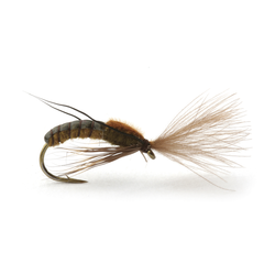 Super Emerging Caddis Brown Olive - Flue.no - Fiskefluer