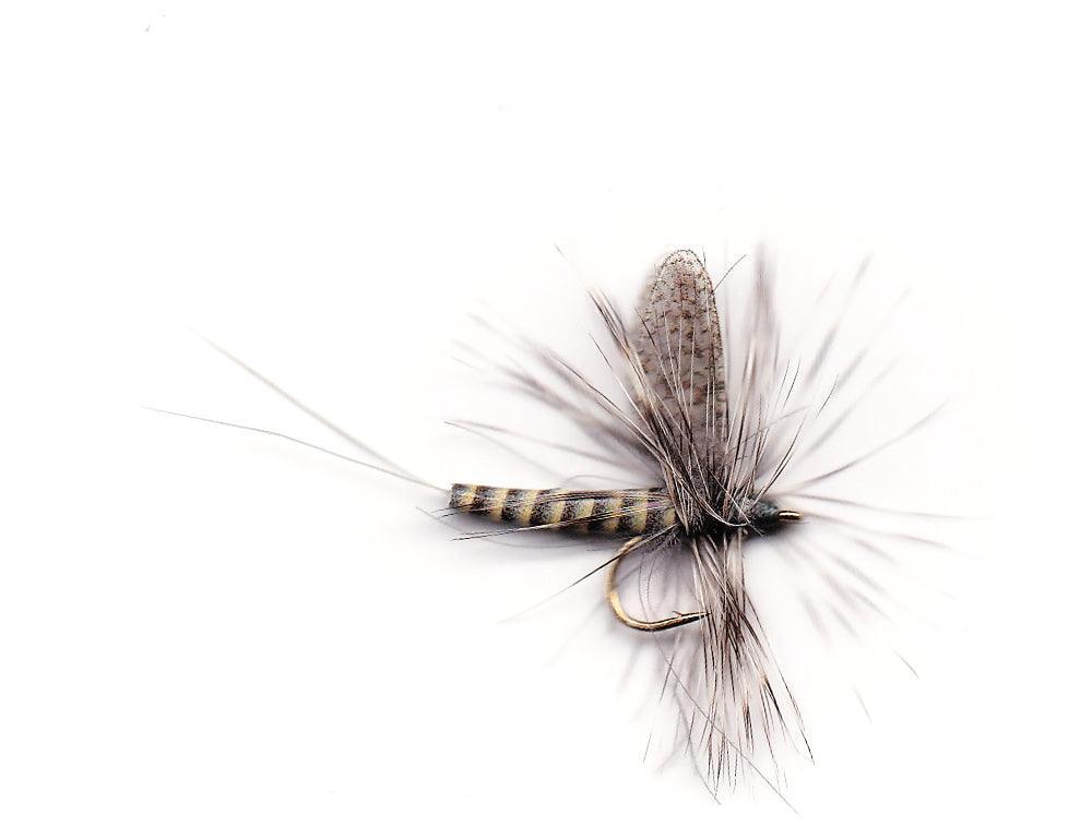 Vania | Blue Quill - Flue.no - Fiskefluer