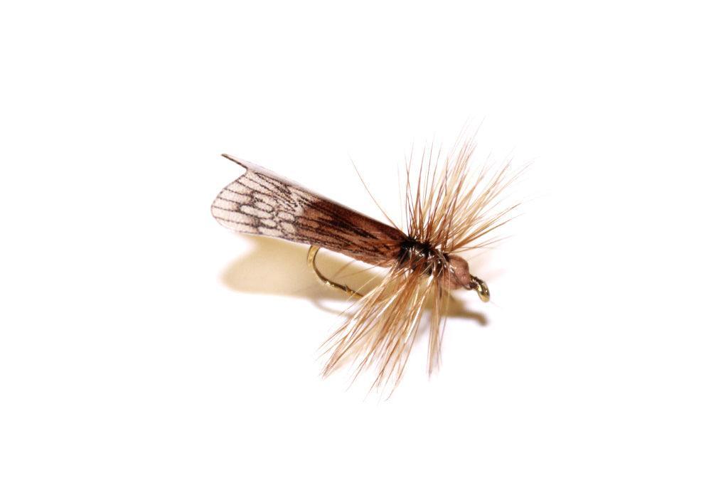 Vania | Brown Caddis - Flue.no - Fiskefluer