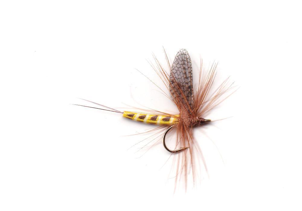 Vania | Danica SP - Flue.no - Fiskefluer