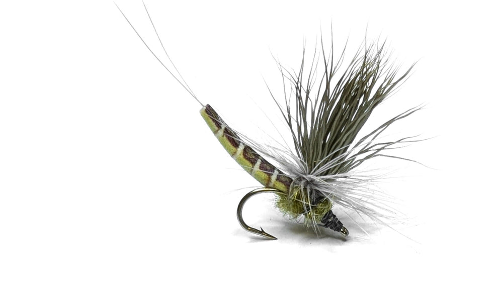 Vania | Elk Wing Green Drake Eastern - Flue.no - Fiskefluer