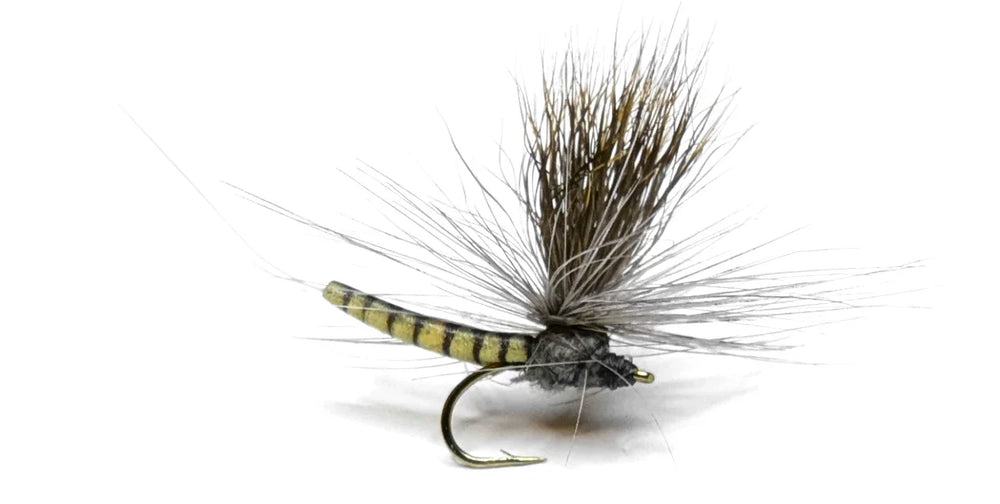 Vania | Elk Wing May Fly Grey - Flue.no - Fiskefluer