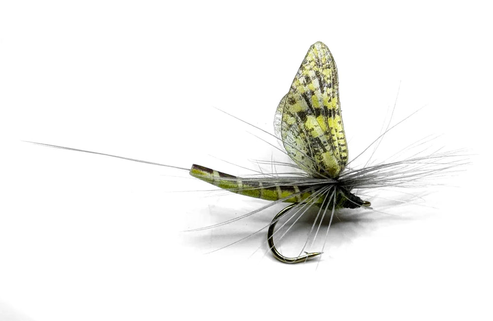 Vania | Green Drake Eastern - Flue.no - Fiskefluer