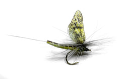 Vania | Green Drake Eastern - Flue.no - Fiskefluer