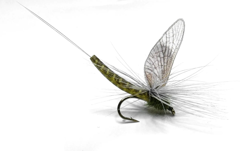 Vania | Green Drake Western Para - Flue.no - Fiskefluer