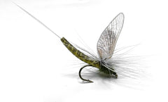 Vania | Green Drake Western Para - Flue.no - Fiskefluer