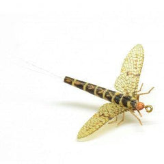 Vania | True May Fly Olive - Flue.no - Fiskefluer