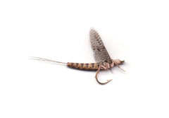 Vania | True May Fly Tan - Flue.no - Fiskefluer