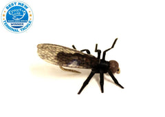 Vania | True Stone Fly Little Black - Flue.no - Fiskefluer