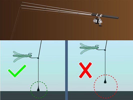 Drop-Shot fiske etter predatorfisk