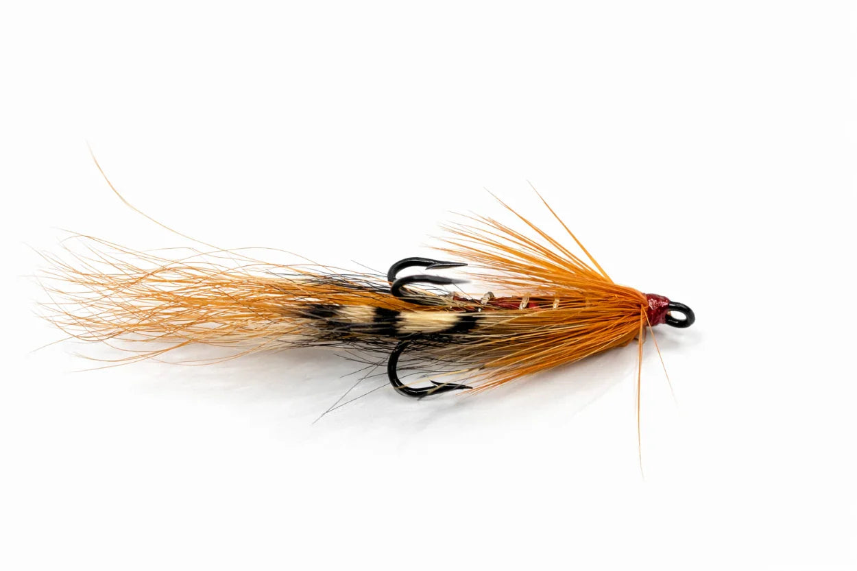 Allys shrimp treble