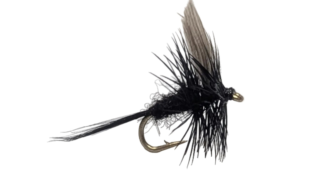 Black Gnat