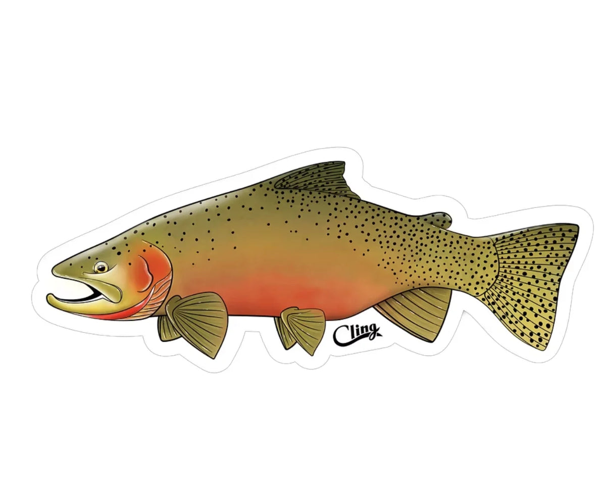Westslope Cutthroat Ørret decal |  Klistremerke 12cm | Cling