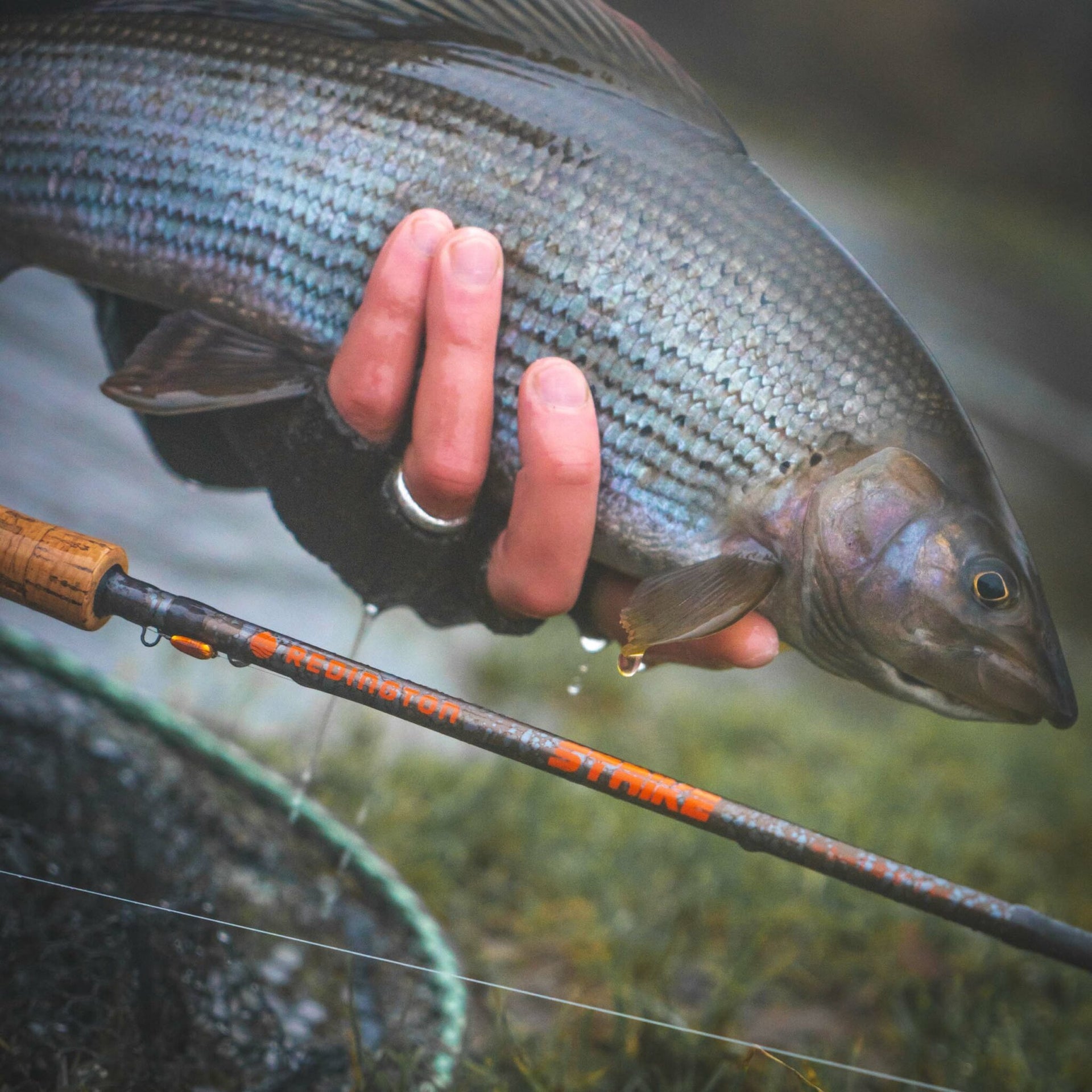 Strike V.2 Nymphing Fly Rod - Fluestang | Redington