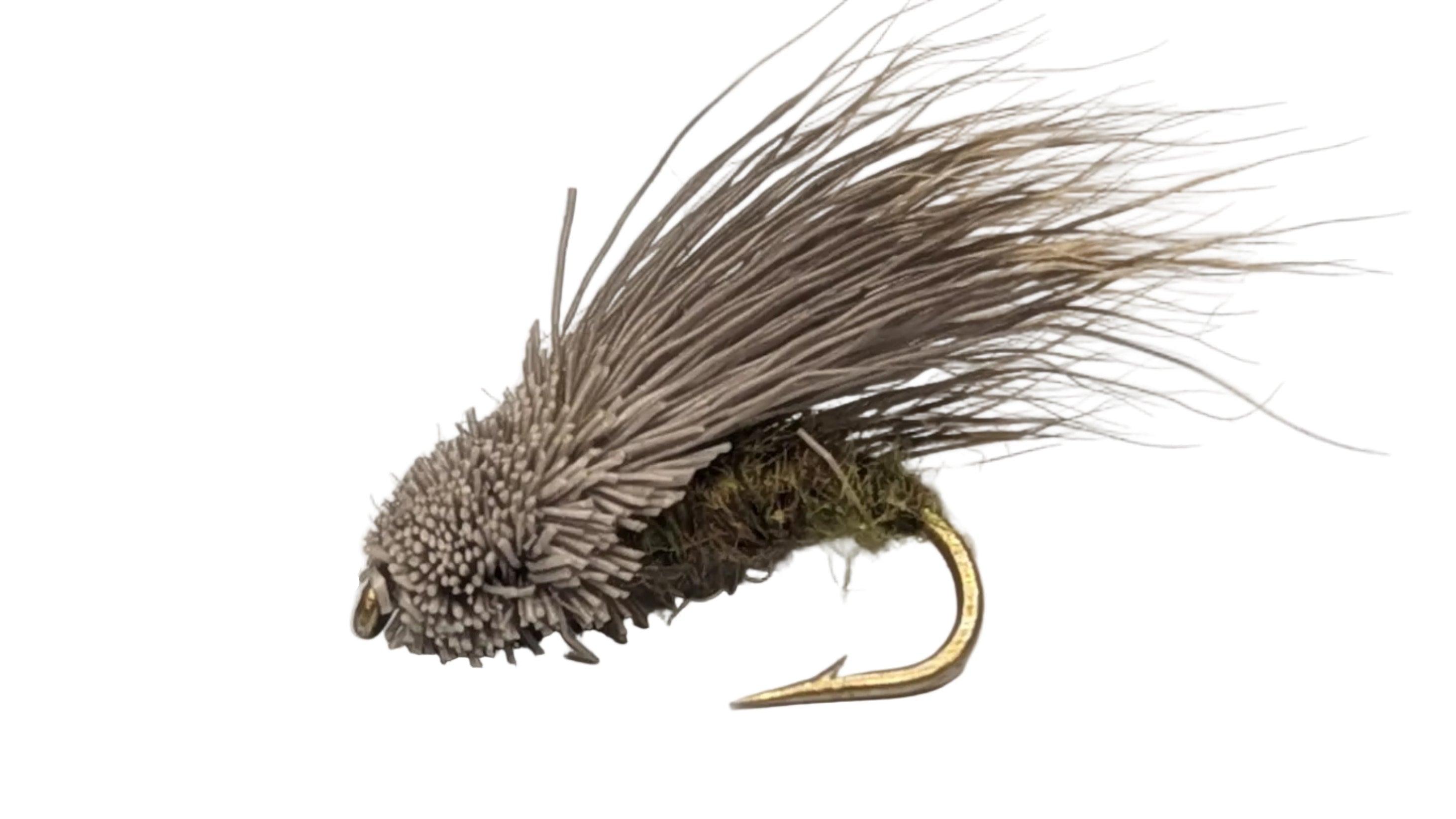 Streaking Caddis