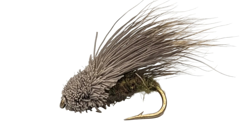 Streaking Caddis