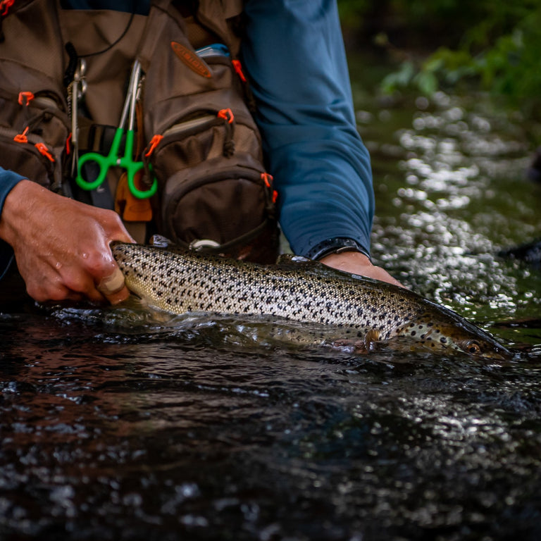 Vision Forceps - Vision, Tilbehør, Forceps, tenger