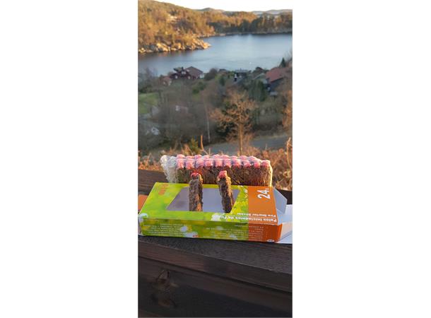 Tennbriketter for opptenning 24stk - Fyringsved og drivstoff