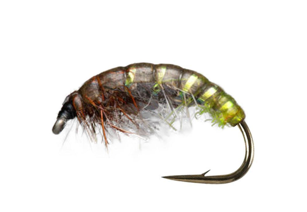 Czech Brown/Olive - Flue.no - Fiskefluer