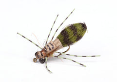 Dragon Fly Nymph - Flue.no - Fiskefluer
