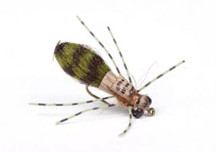 Dragon Fly Nymph - Flue.no - Fiskefluer