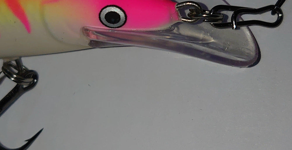 EXTREME GJEDDEFORTOM 4pk | Sølvkroken - Flue.no - fortom