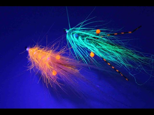 Inova X5 Ultra Violet Light Flashlight UV - Flue.no - fluebinding