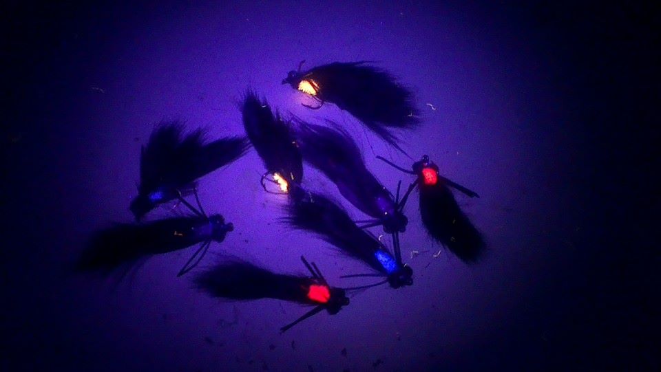 Inova X5 Ultra Violet Light Flashlight UV - Flue.no - fluebinding